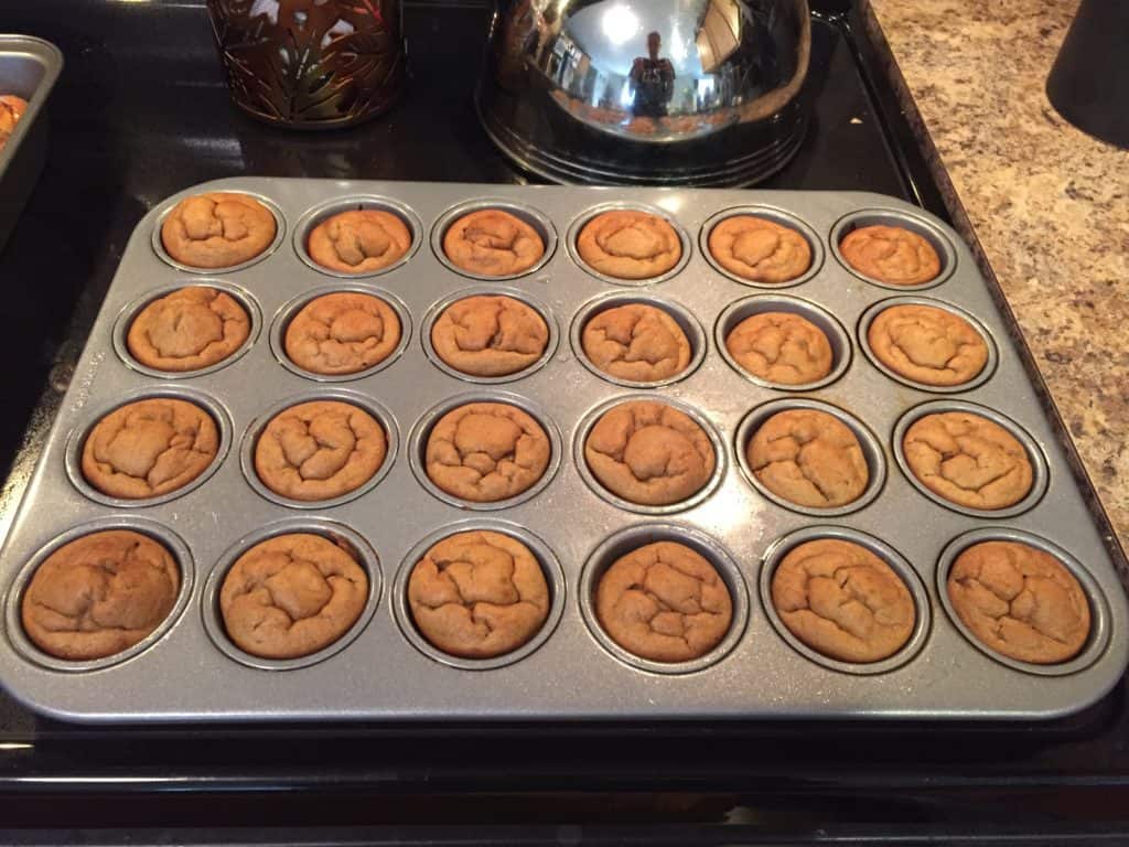 5 Ingredient Blender Muffins